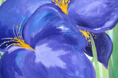 Irises by Heather Pastro