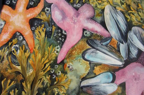 Starfish by Jane Skipsey